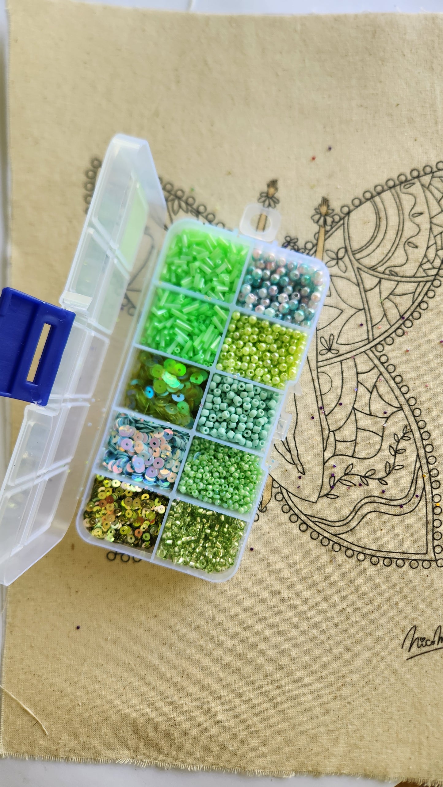 SET MOSTACILLAS Y LENTEJUELAS  VERDE FLUOR